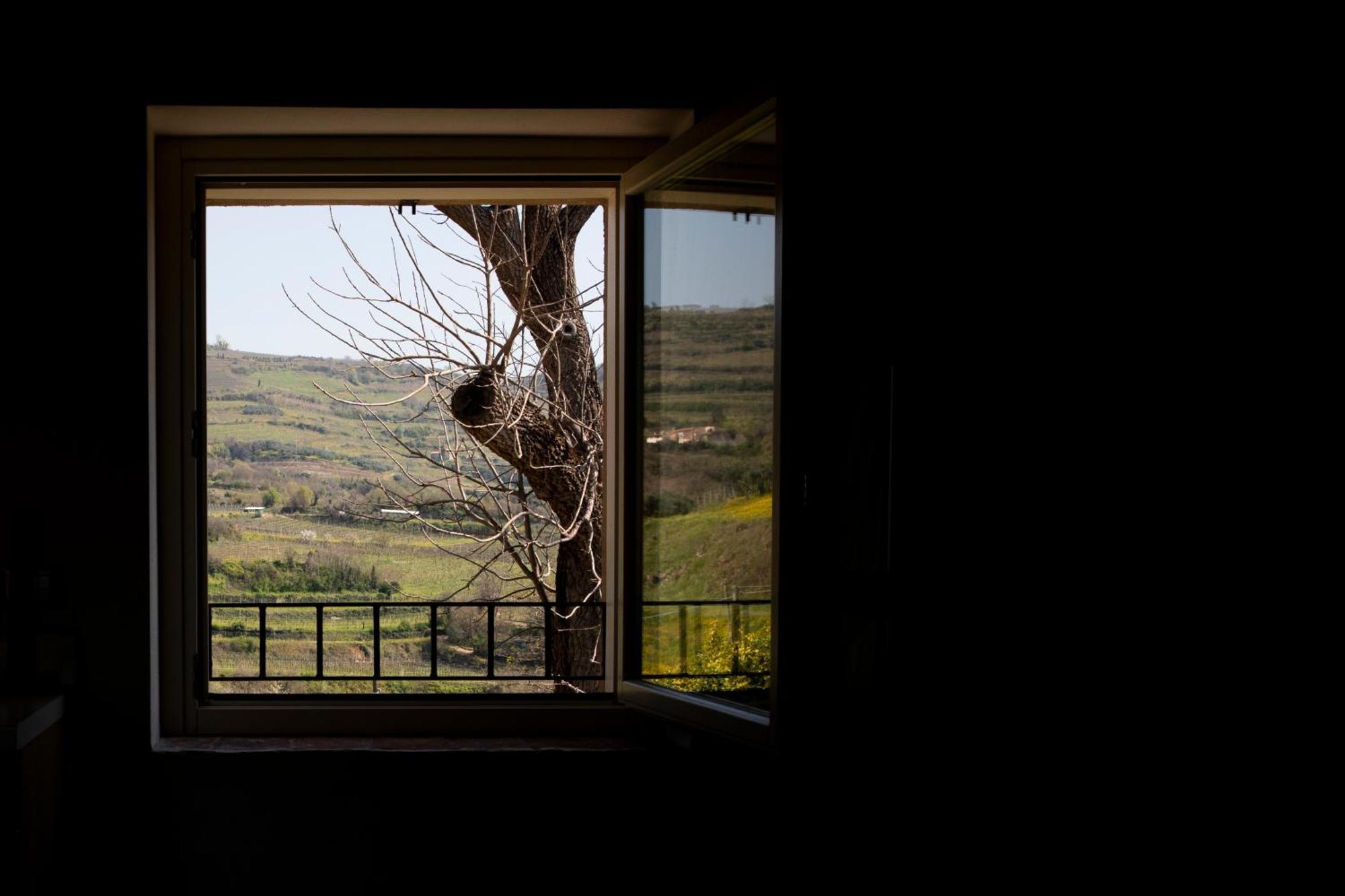 Corte Dei Soavi Suites - Apartments Σοάβε Εξωτερικό φωτογραφία